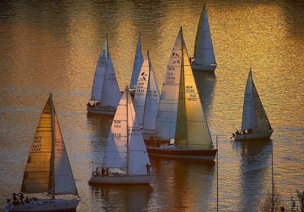 Discover the Vendée Globe - A very popular race of boats in France.