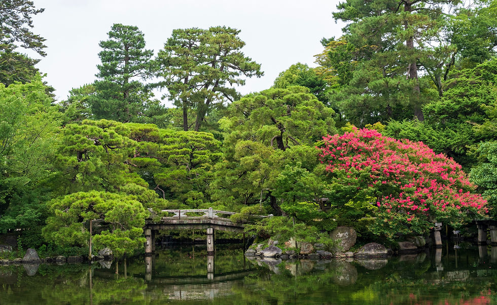 植物園/植物関連施設