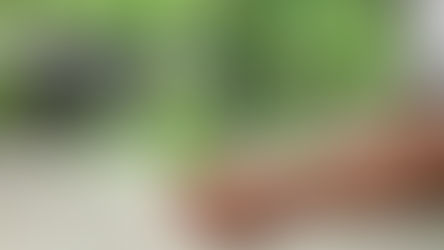 Why Sustainable Apparel Shouldn't Be A Luxury