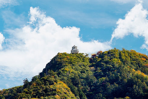 Image by Nguyen TP Hai