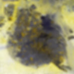 Visual representation of image processing techniques implemented using Numpy, showcasing transformations and manipulations on images.