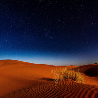 Desert at night with stars
