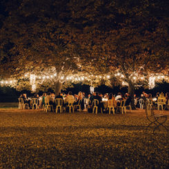 Table Fellowship