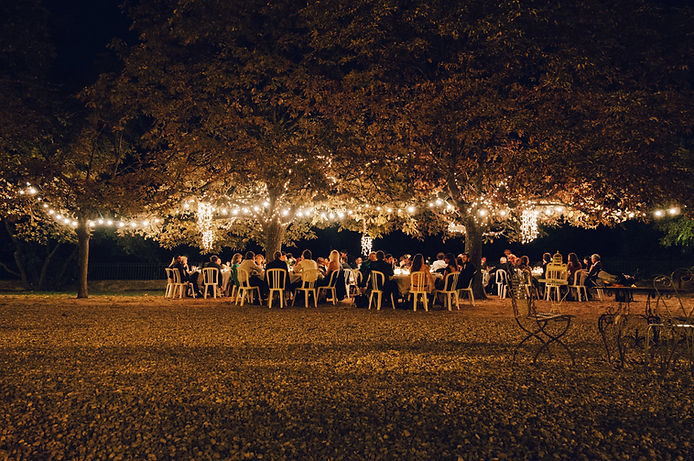 Image by Matthew Buchanan
