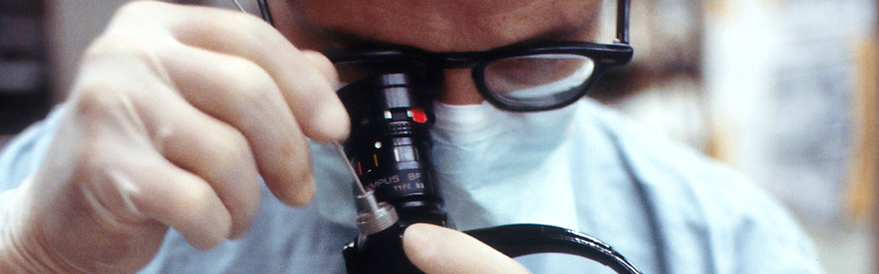 Image by National Cancer Institute