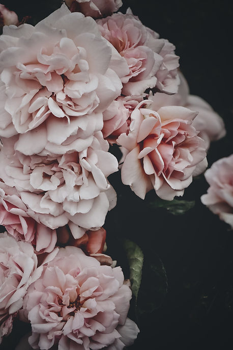 Image by Embla Munk Rynkebjerg
