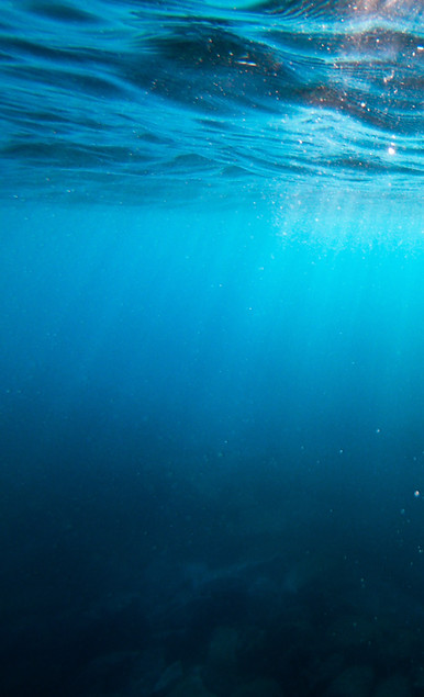 Image by Cristian Palmer
