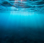 Image by Cristian Palmer