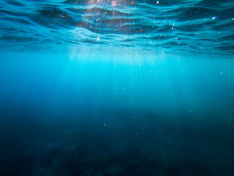 Essential German Words and Phrases for Sea Lovers