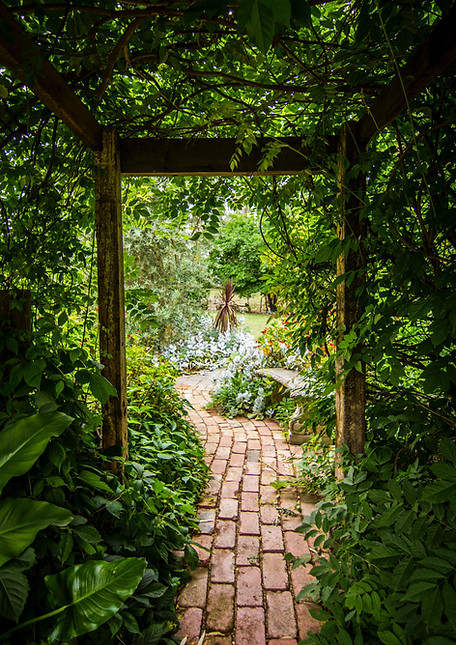 Image by Tim Cooper