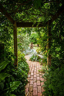 Image by Tim Cooper