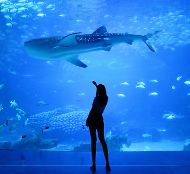 Image by Silas Hao