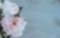 Image by Annie Spratt