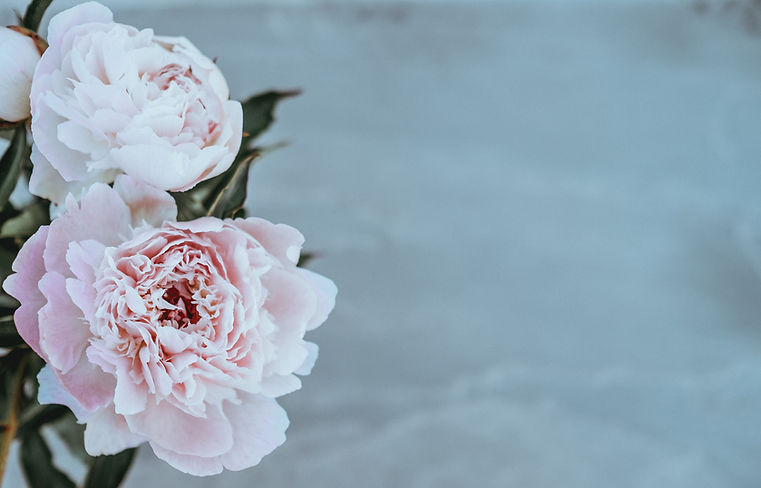 Image by Annie Spratt
