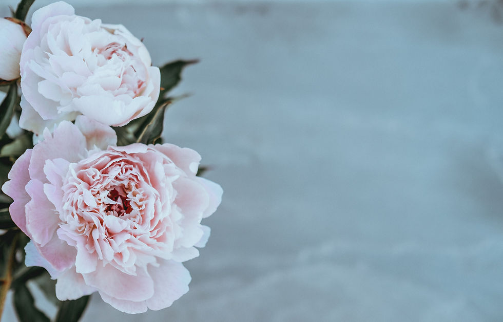 Image by Annie Spratt
