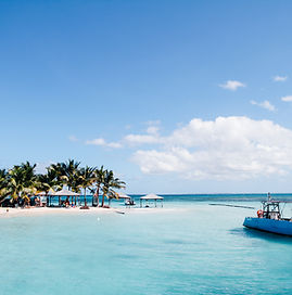 Image by Bertrand Bouchez