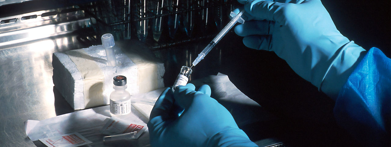 Image by National Cancer Institute
