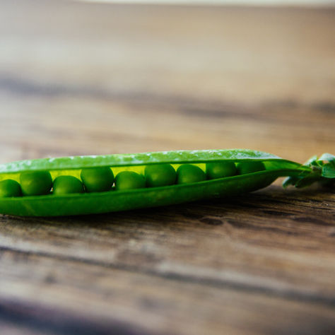 Agrocorp and Megmilk Join Forces to Scale Asia's Plant-Based Ingredients Supply