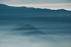 Image by Alessio Soggetti