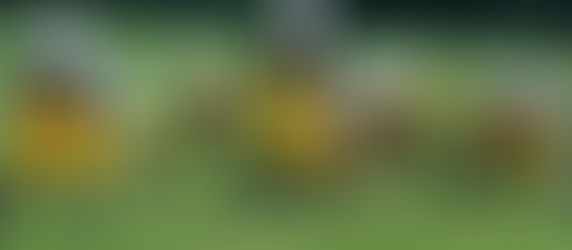 Why Multi-Sport Athletes Make Better Football Players