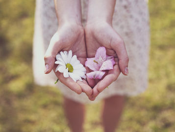 The Homeopathic Consultation