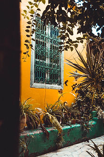 Image de Adrian Dascal