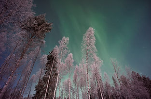 Image by Vincent Guth