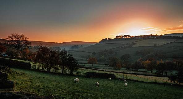Image by Sam Barber