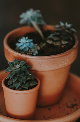 Image by Annie Spratt