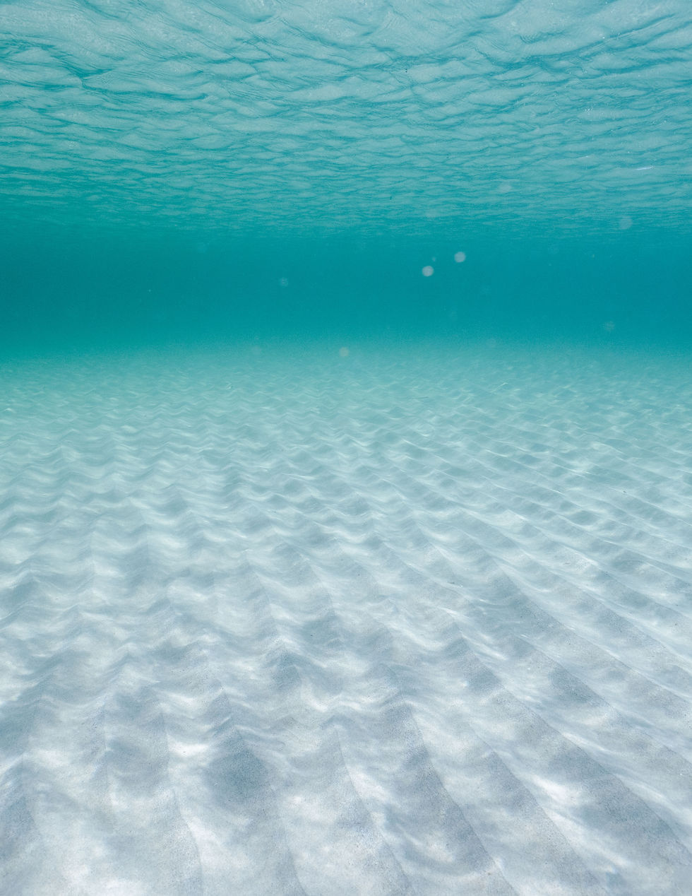 Image by Dylan Alcock