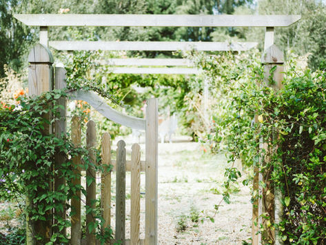 6 Top Gardening Tips For Arthritic Gardeners