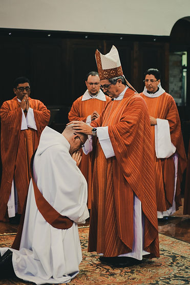 Image by Mateus Campos Felipe
