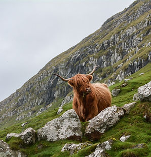Image by Eric Welch