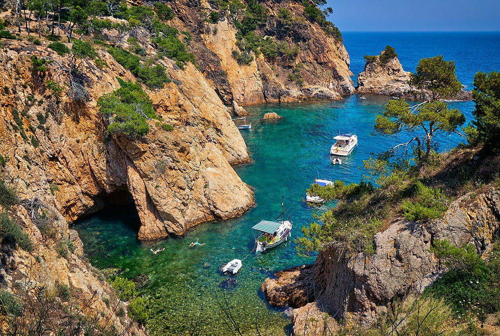 view of the boats in Palamos
