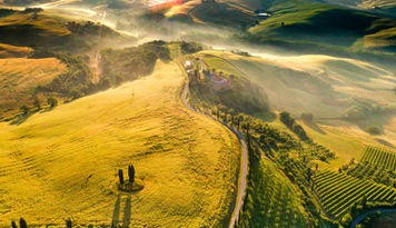 Aerial view of rolling hills and vineyards in Tuscany, Italy, at sunrise with mist rising from the ground. The photo was taken in the style of professional travel photographers using high-quality cameras