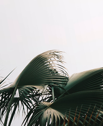 Image by Adrienne Leonard