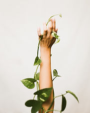 Image by Adrien King