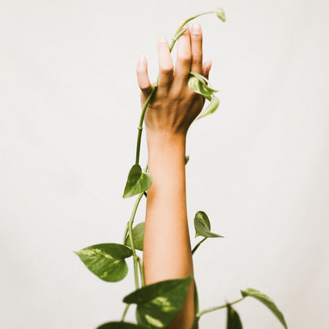Immunity and Aging: Part 1