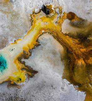 Image by Dan Meyers