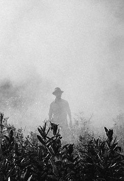 Image de Elijah Hail