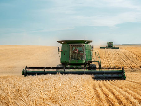 Tidbits, Wheat Harvest Basis, Crude Oil, PMI, Broilers & Ethanol 5/9/24