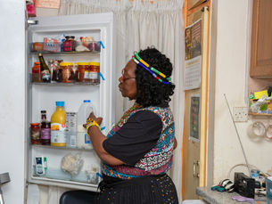 Refrigerator Insights for Investment: Predicting Future Trends