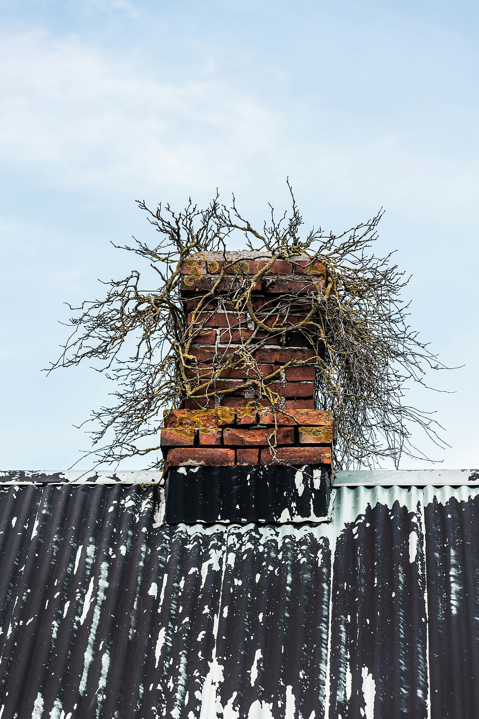 chimney care spring