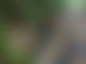 Township Ditch Inspections - May-June 2026