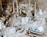 Image by Silvia Mara