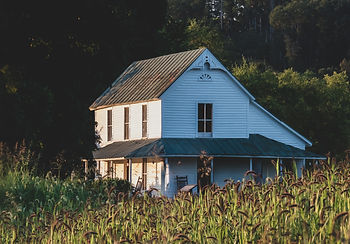 Old farmhouse behind a cornfield
