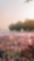 Image by Rinke Dohmen