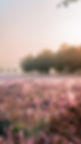 Image by Rinke Dohmen