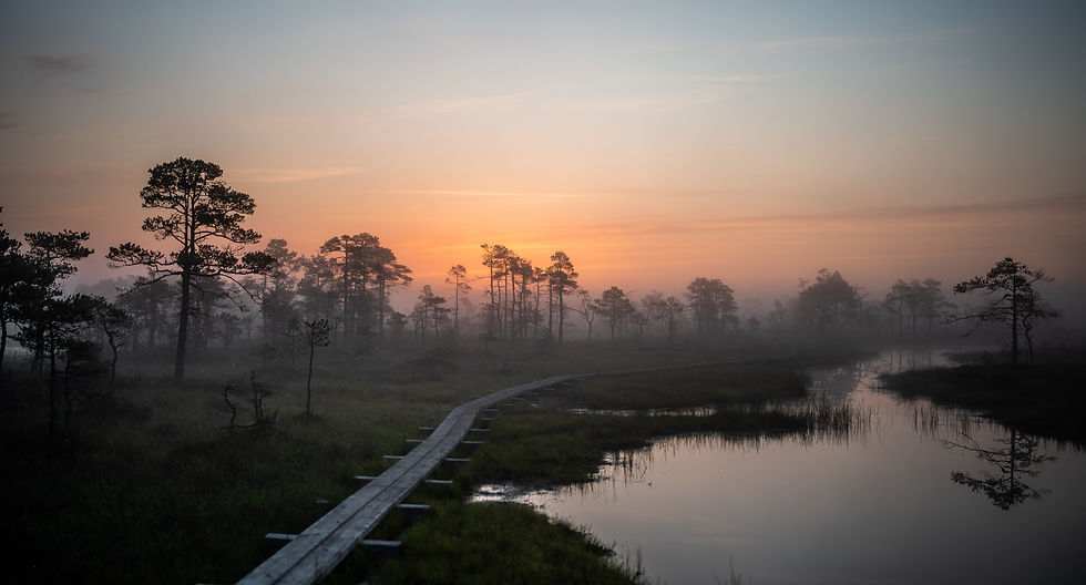 TravelFit boutique travel agency, travel, trip, discover unique travel experiences in Estonia, unique trips, exclusive trips