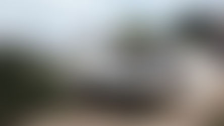 THE WAR ON CANCELLATION SITES CONTINUES